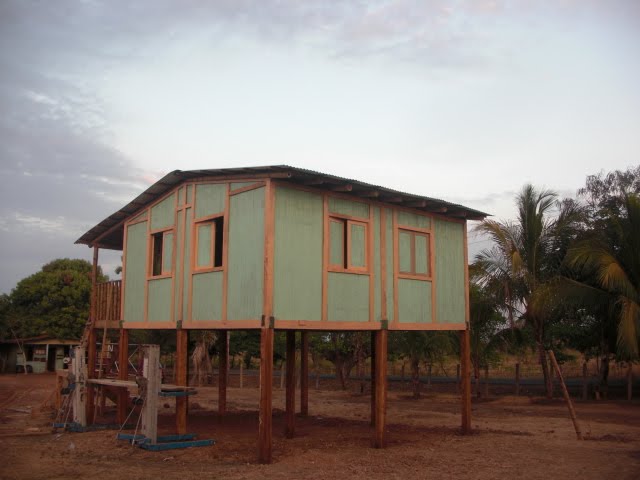 Much progress on the bamboo front