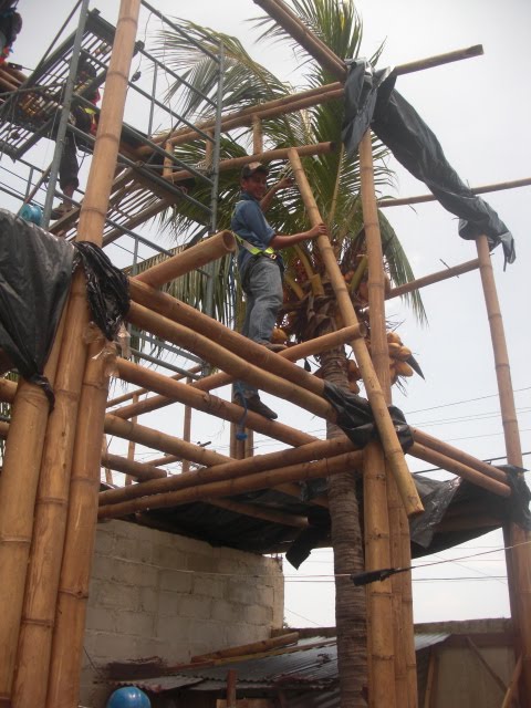 update of bamboo studio construction and run up to World Bamboo Day