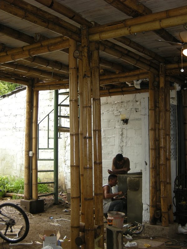 Studio de bambu.