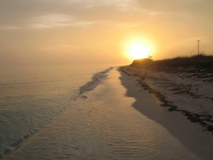 Bird-watching and Coral Reefs ~ Cuba.