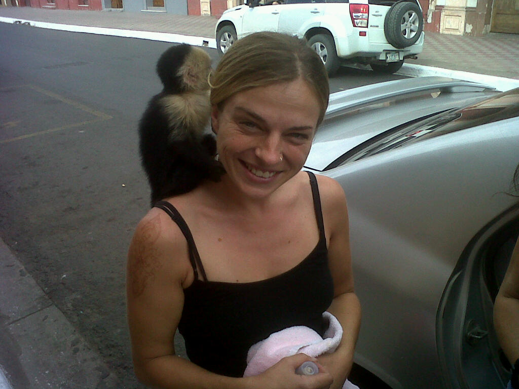 Lolo the capuchin monkey