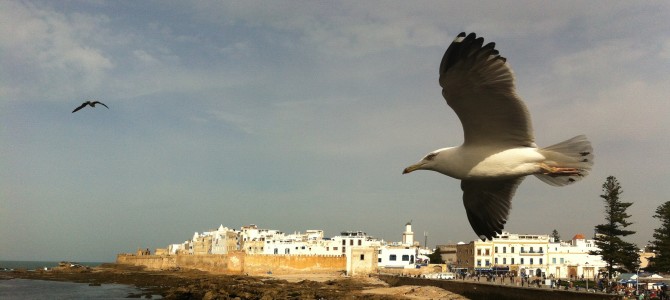 Essaouira, Morocco ~ a painter’s paradise