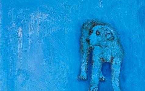 Studio 352 ~ May exhibit ~ Stray dogs of Nicaragua.