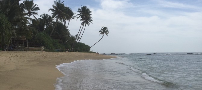 Beach escapade in Matara, Sri Lanka.
