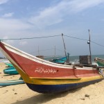 Wild beaches and local markets: 2 Green Global Trek favorites ~ Sri Lanka