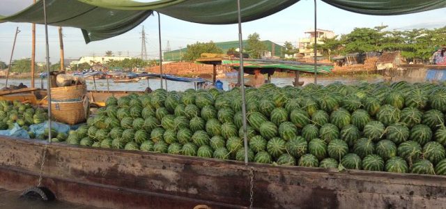 The bounty of food markets of Asia ~ Viet Nam (part 1)