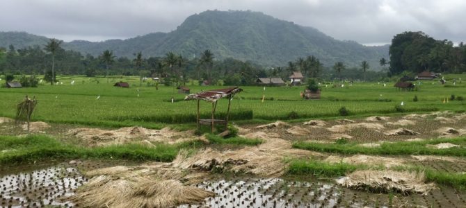 Beyond Ubud: exploring Bali…