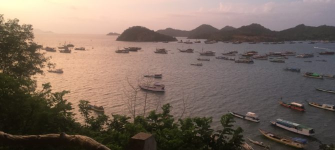 A deep dive into Labuan Bajo, Flores, Indonesia.