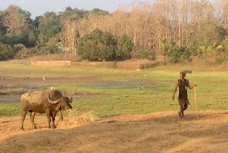 Rural tranquility and architectural gems in South Goa, India.