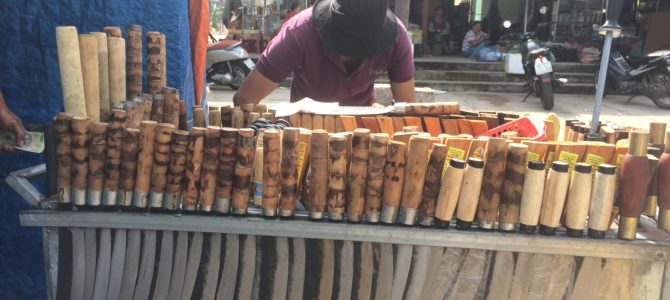 Ba Le market in our neighborhood of Cam Chau, Viet Nam