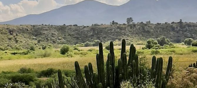 Into the Oaxacan Landscape