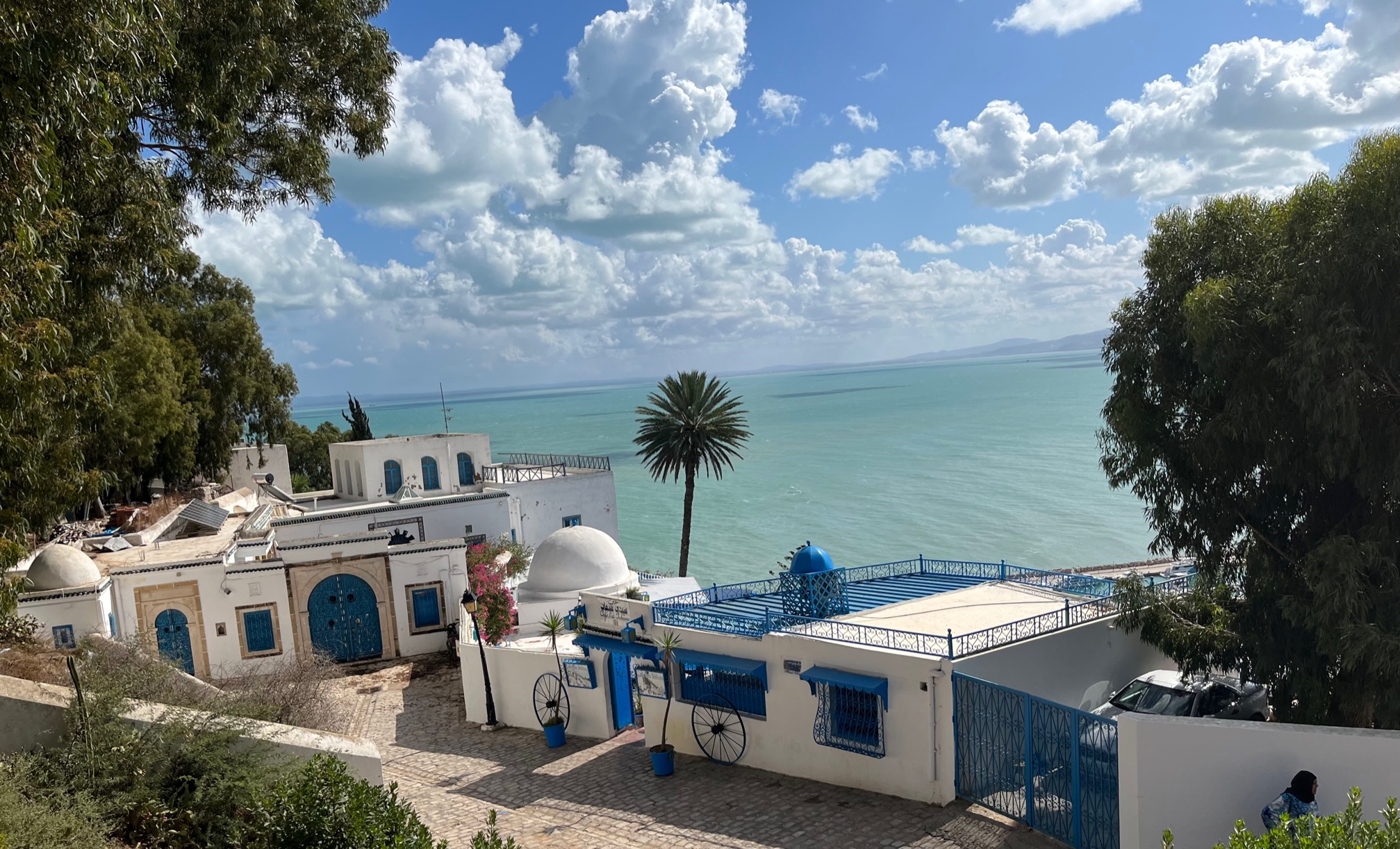 A month in Tunisia